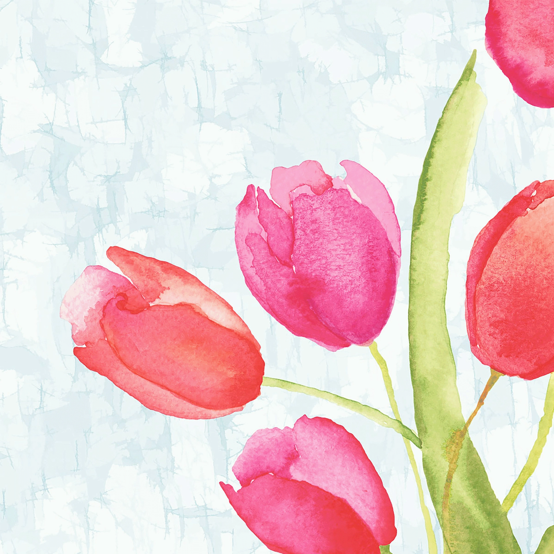 Serviette | Painted Tulip Bio Dunisoft 40x40 cm