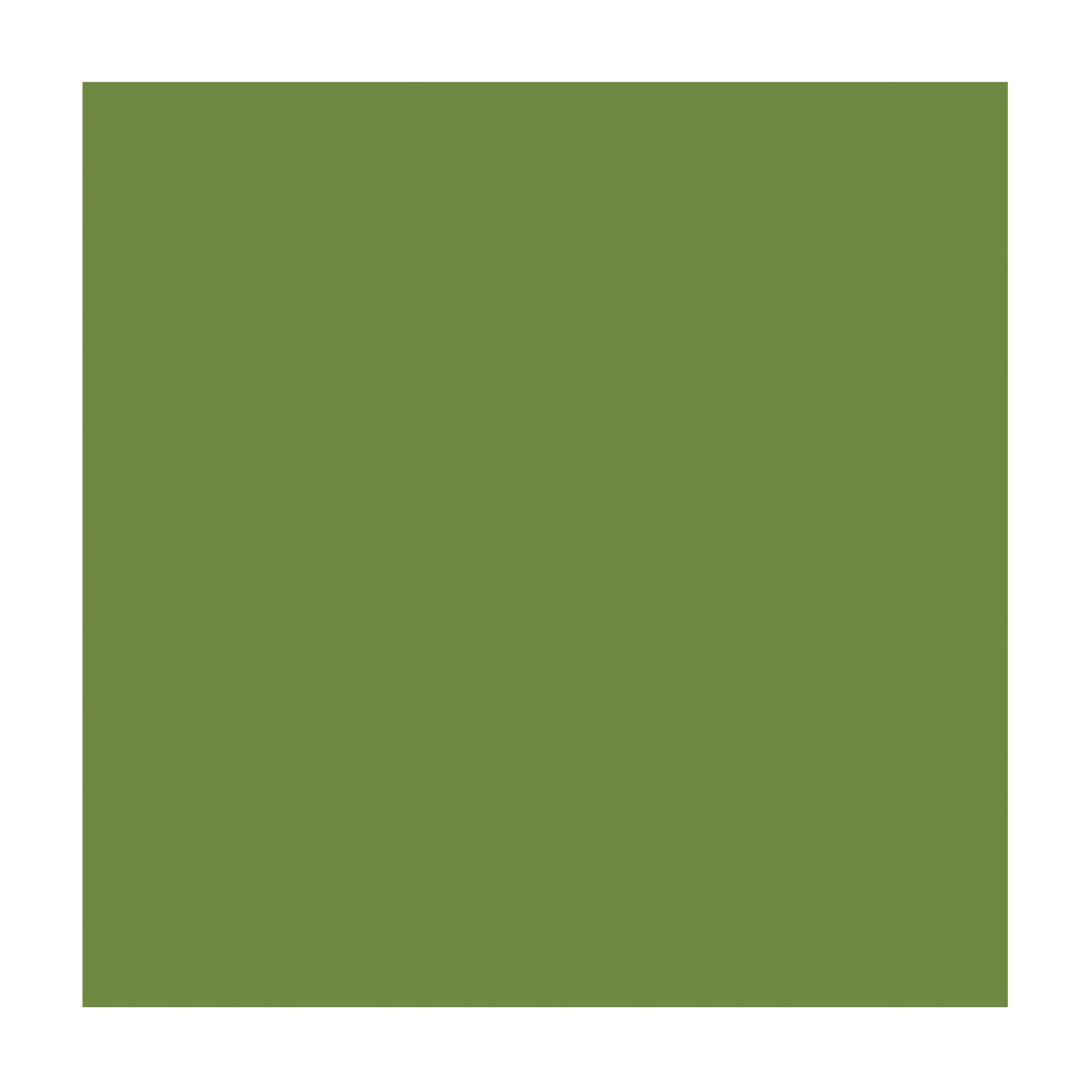 Serviette Zellstoff 2lg. | blattgrün 33x33 cm 