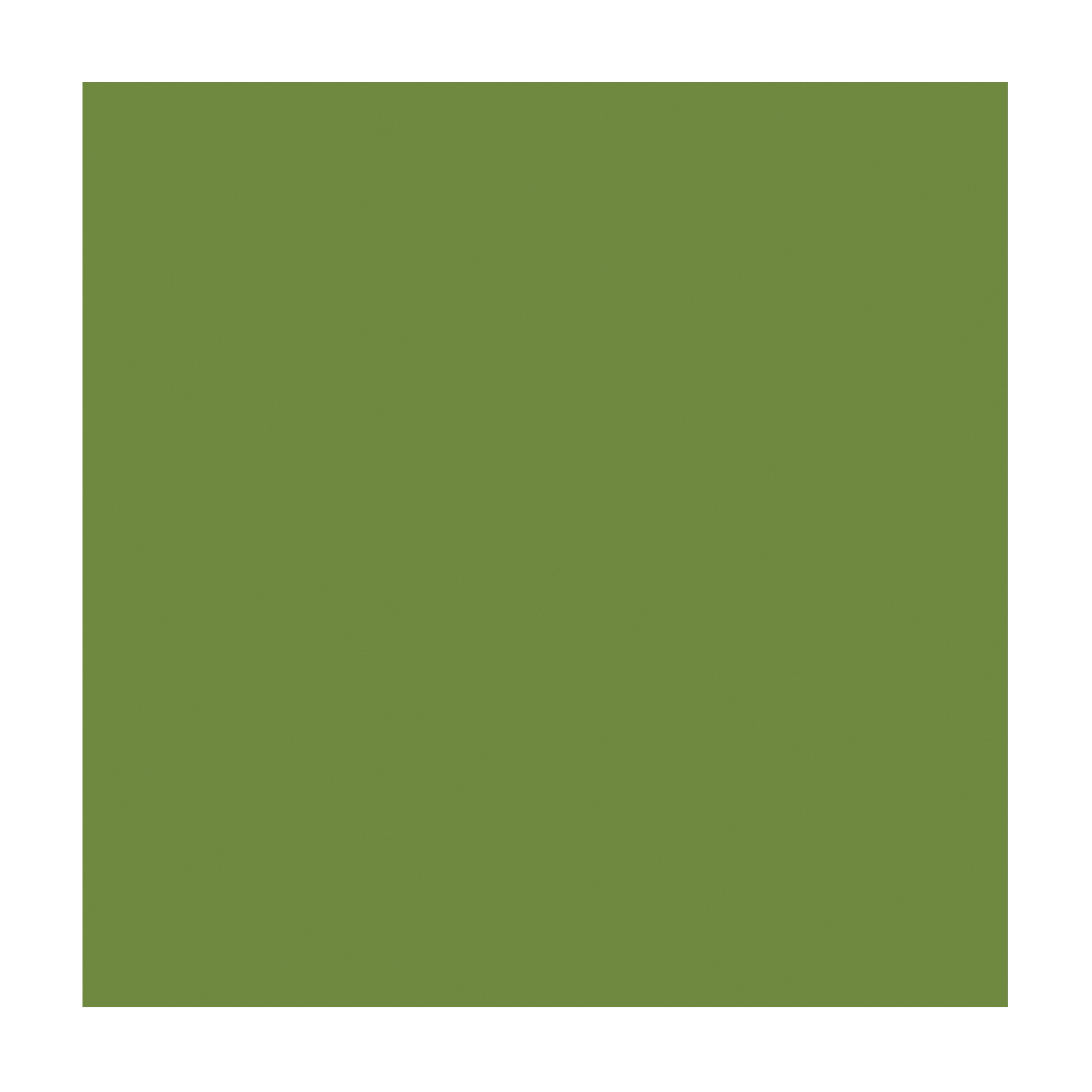 Serviette Zellstoff 2lg. | blattgrün 33x33 cm 