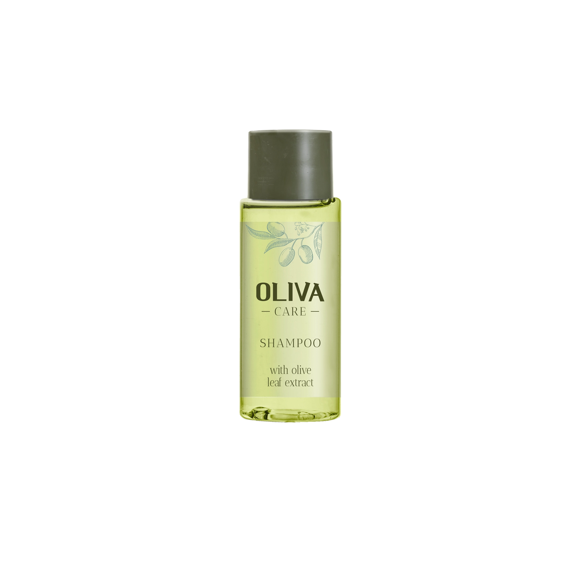 Shampoo | Oliva Care mit Olivenblattextrakt Flacon | 30 ml
