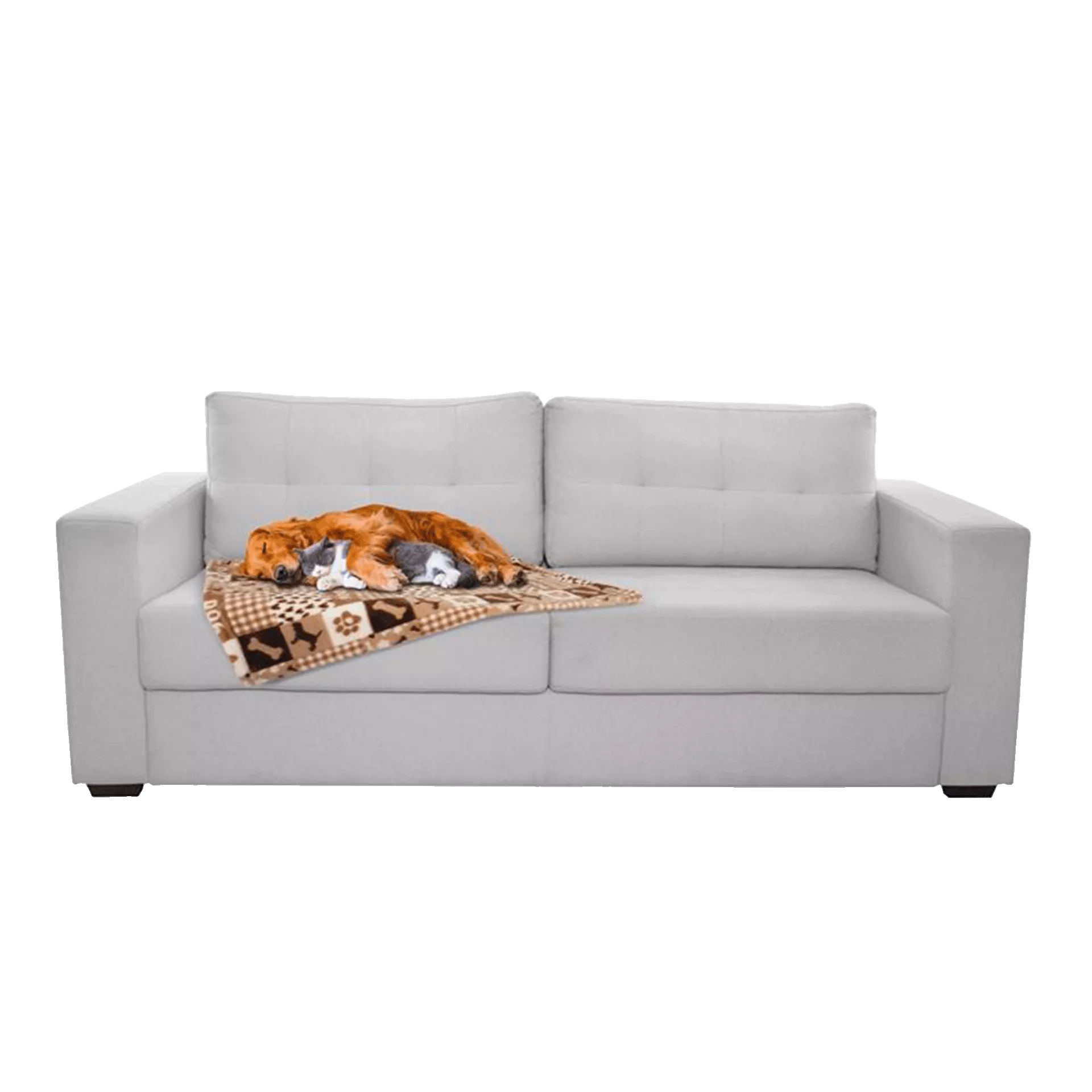 Hundedecke Patchwork soft  75x100 cm | Waschbar 30°