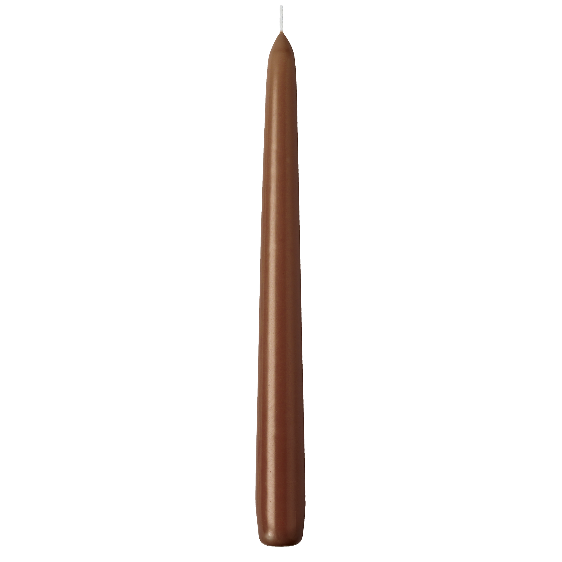 Spitzkerze | einzeln cellophaniert braun h 24,5 cm | Ø 2,4 cm