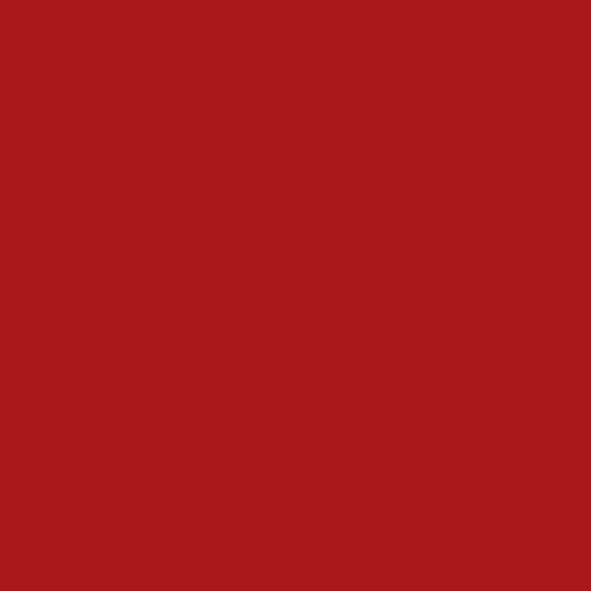 Serviette | Color Bio Dunisoft | rot 40x40 cm 