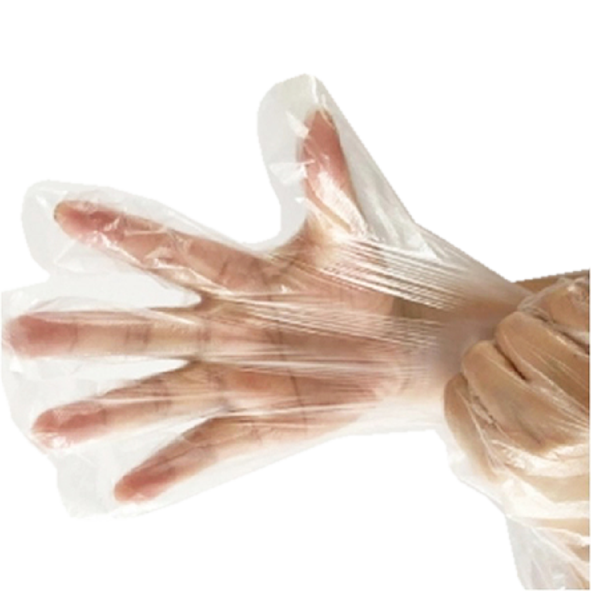 Handschuhe Nylon | transparent Größe L | 100 Stk.
