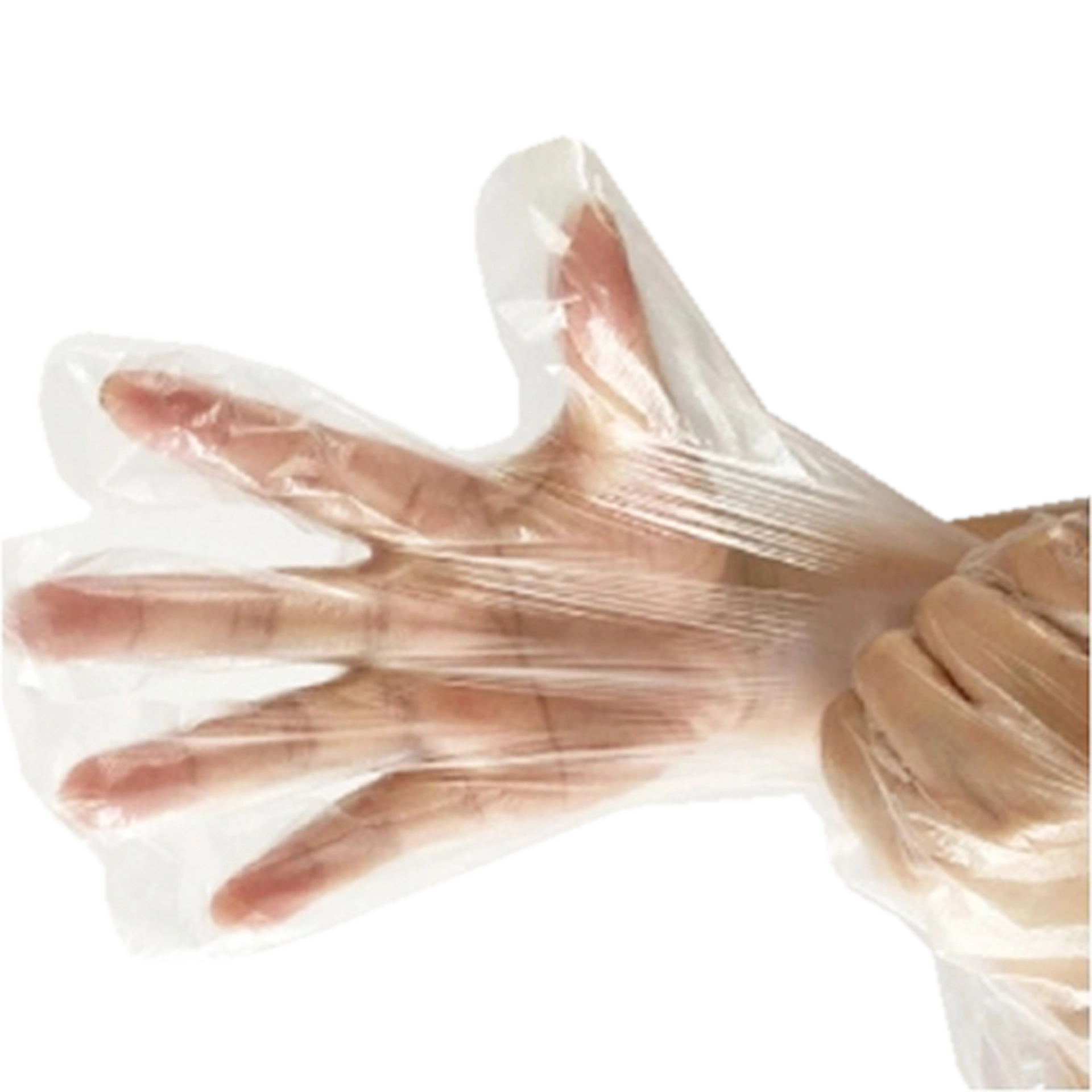 Handschuhe Nylon | transparent Größe L | 100 Stk.