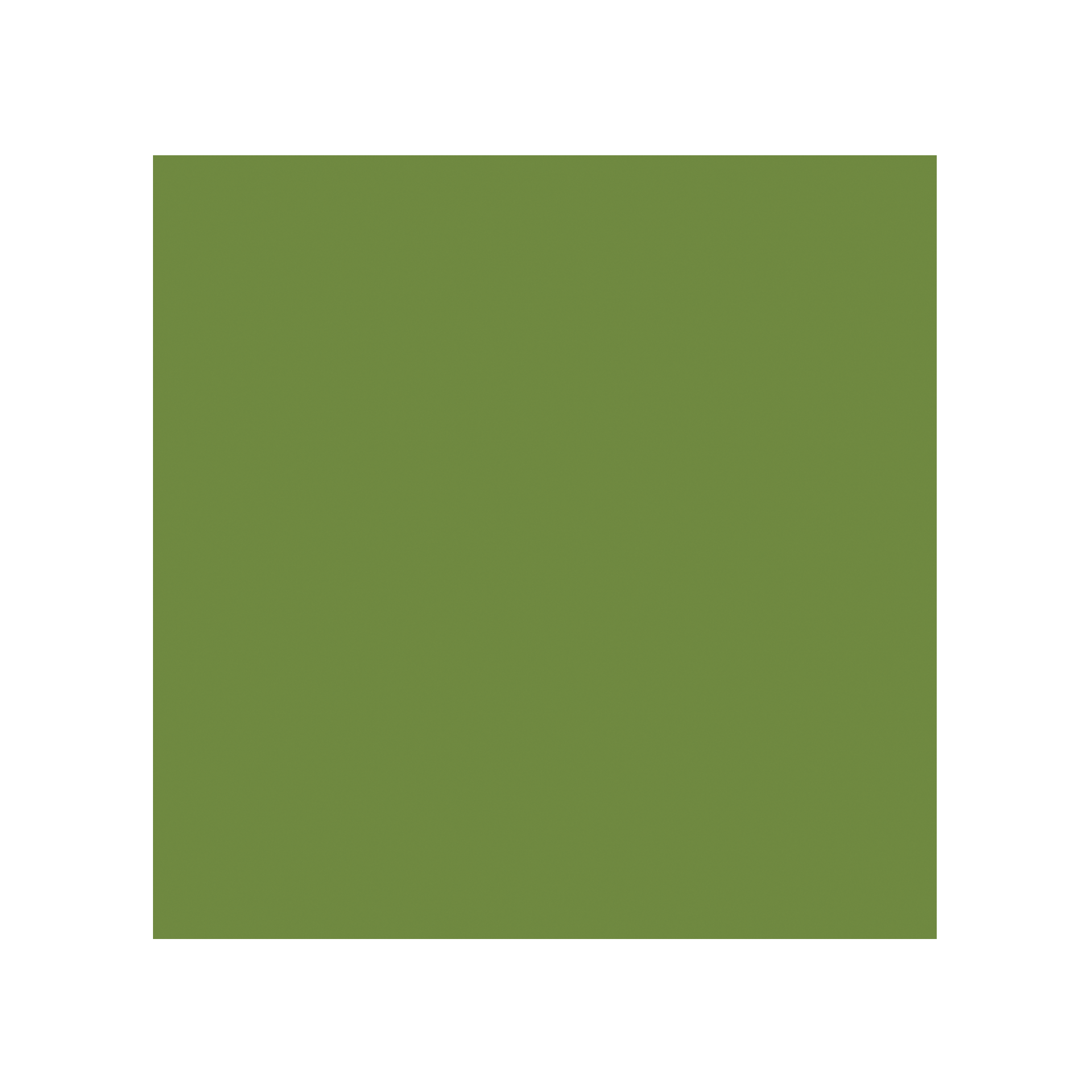 Serviette Zellstoff 3lg. | blattgrün 24x24 cm 