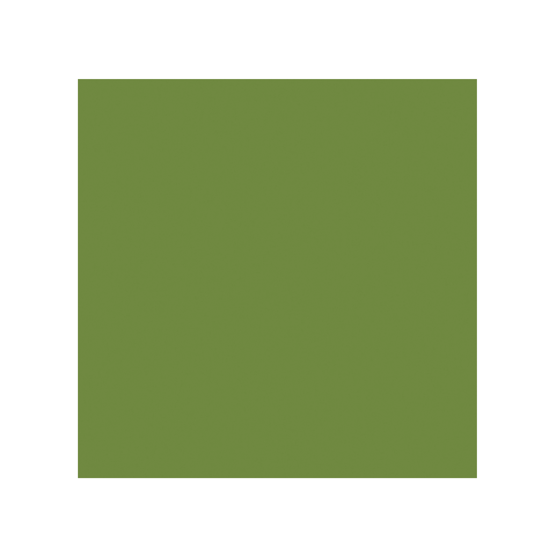 Serviette Zellstoff 3lg. | blattgrün 24x24 cm 