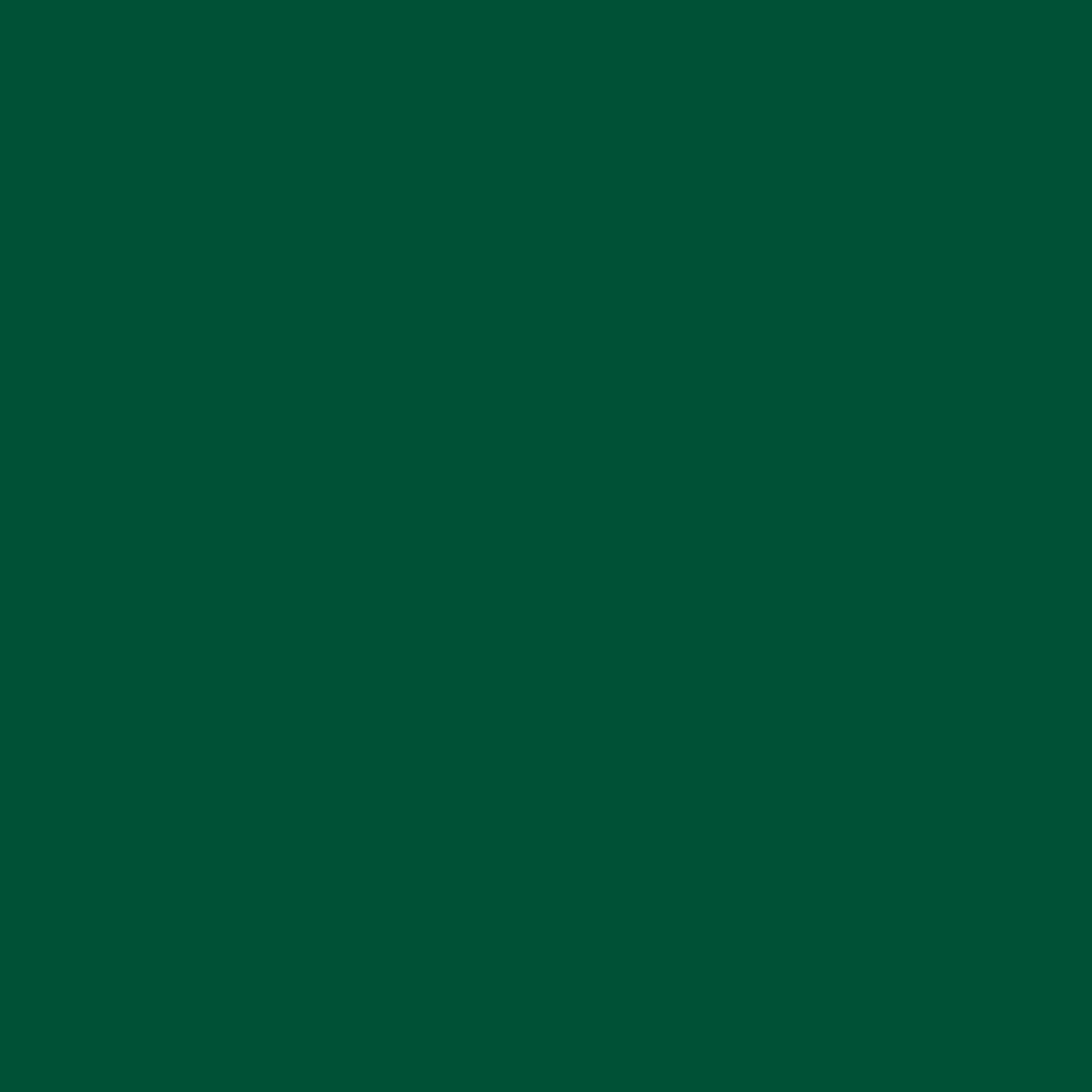 Serviette | Color Bio Dunisoft | grün 40x40 cm 