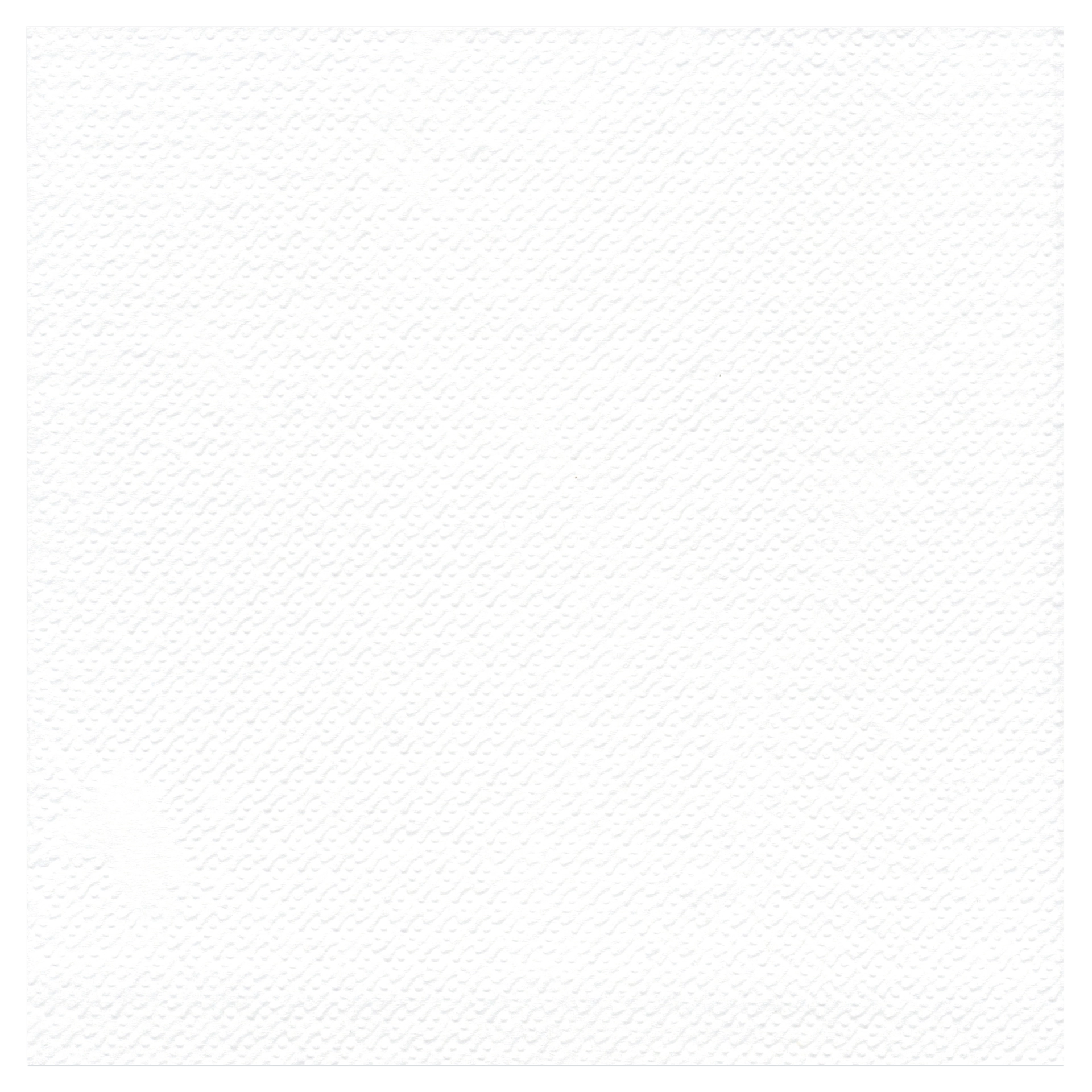 Serviette Papier weiß 1lg. 33x33 cm  