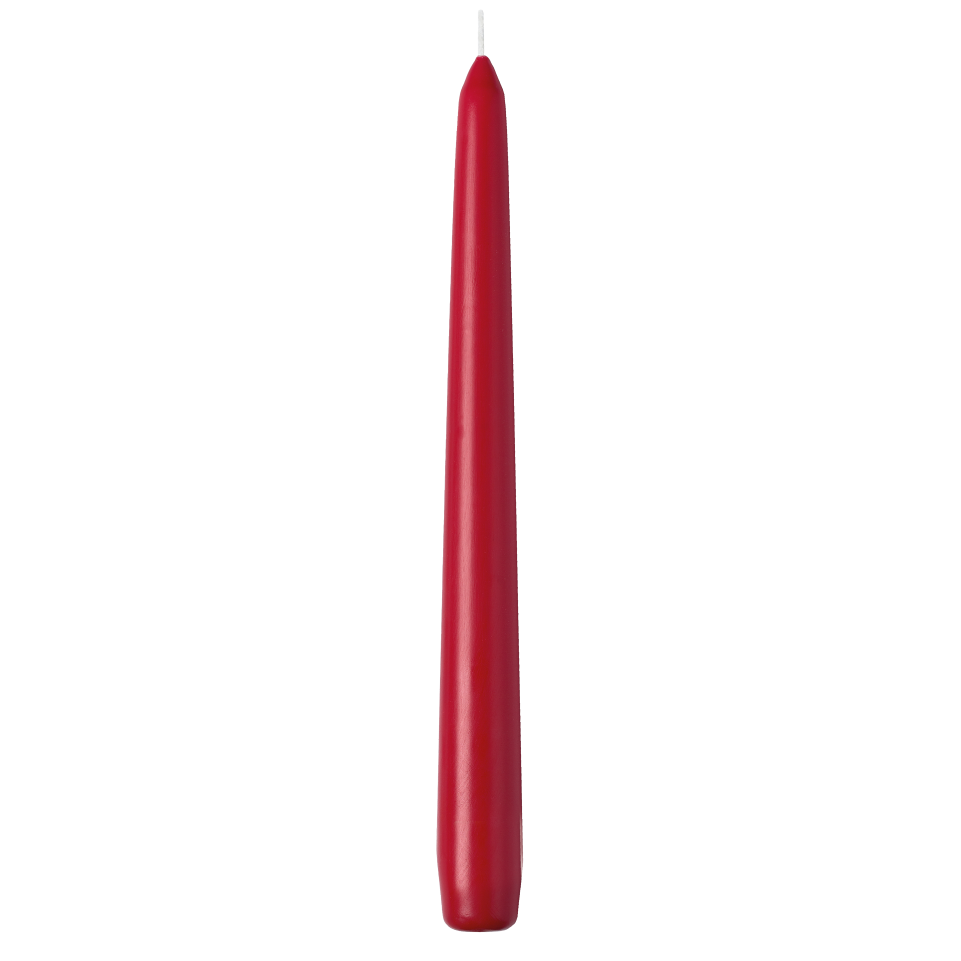 Spitzkerze | einzeln cellophaniert rot h 24,5 cm | Ø 2,4 cm