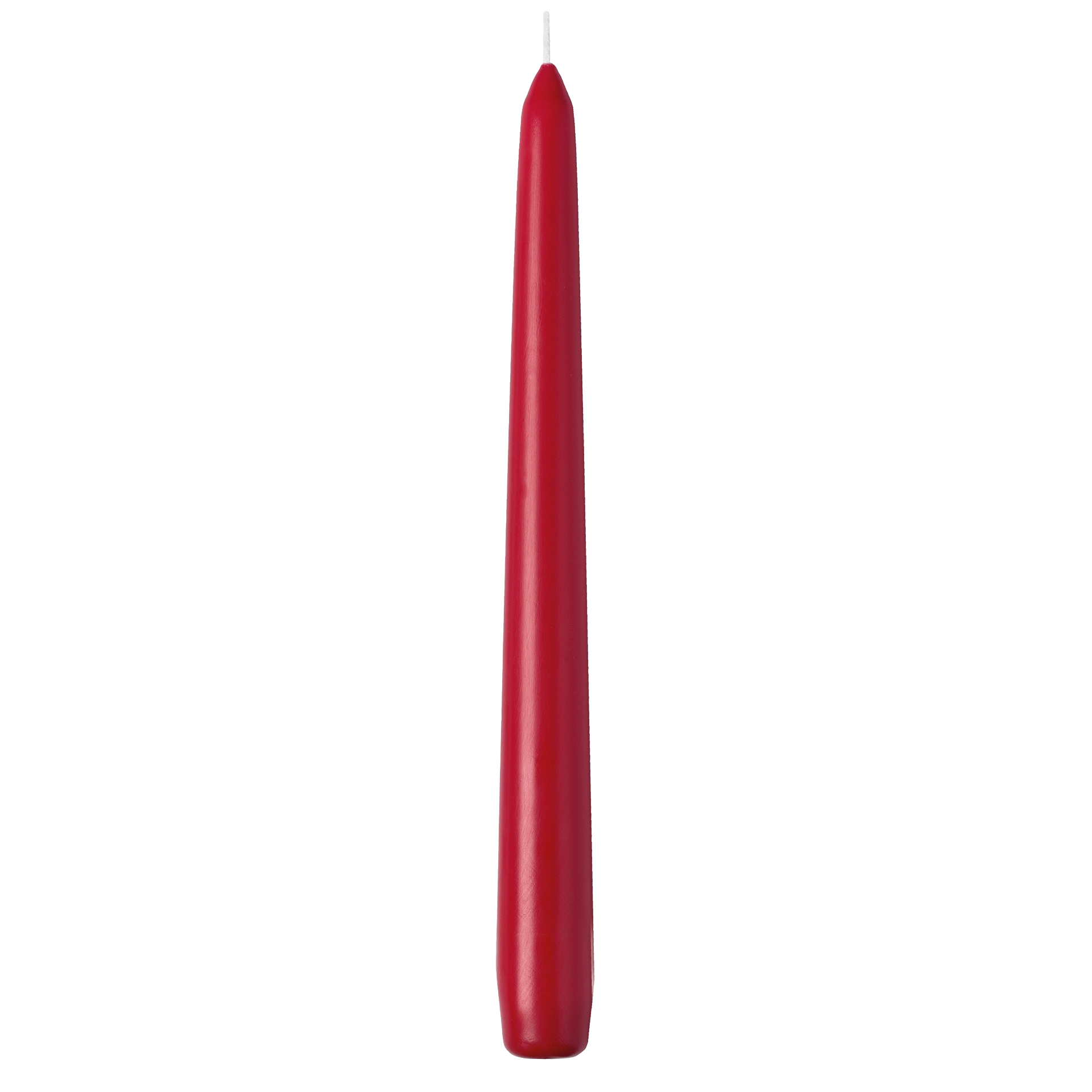 Spitzkerze | einzeln cellophaniert rot h 24,5 cm | Ø 2,4 cm