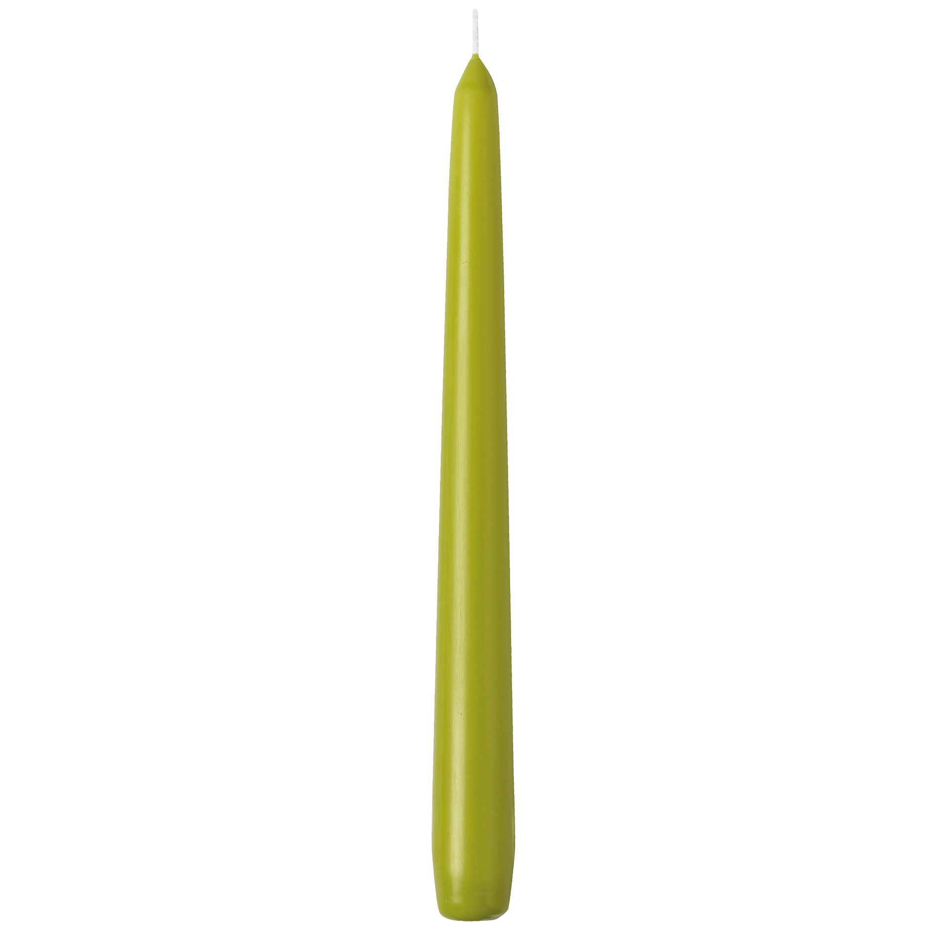 Spitzkerze | einzeln cellophaniert lime h 24,5 cm | Ø 2,4 cm